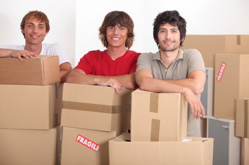 Moving day unloading and placing boxes in a new Upper Norwood home