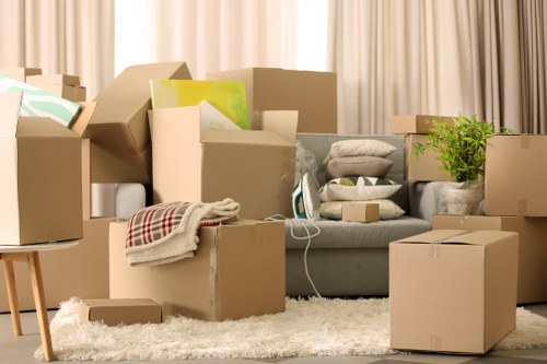 Furniture and boxes prepared for long-term storage